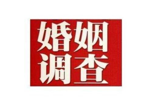 长沙市私家侦探：二胎离婚抚养权怎么判